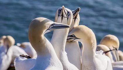 KAIYUN 中国大陆-Chinese Taipei的努力与拼搏：2024年世界杯全程回顾，2024年世界杯在哪个国家举行